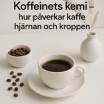 Scandinavian specialty coffee – scandinavian specialty coffee photography, koffeinets kemi – hur påverkar kaffe hjärnan och kroppen, clean minimalistic style, soft light